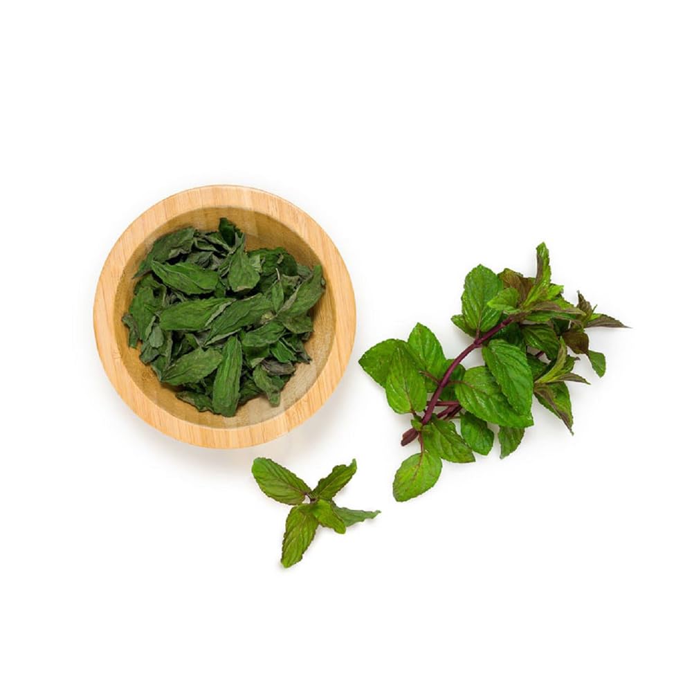 Spearmint Extract - 32 ounces - Premium Quality Flavoring Extract for Baking