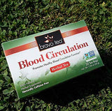 Bravo Tea, Blood Circulation Herbal Tea, Caffeine Free, 20 Tea Bags (20 Tea Bags (Two Pack))