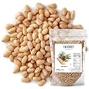 Premium Raw Pine Nuts 16oz (1 lb.) Non-GMO, No Additives Batch Tested Gluten & Peanut Free, Resealable Pouch for Freshness, Unsalted Pine Nuts