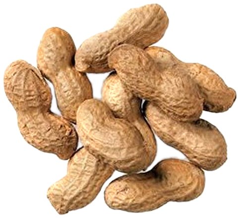 Hoody's Peanuts in Shell, Roatsed and Salted, 80-Ounce