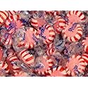 Quality Candy Spi-C-Mints Candy - 2 Lb Bag