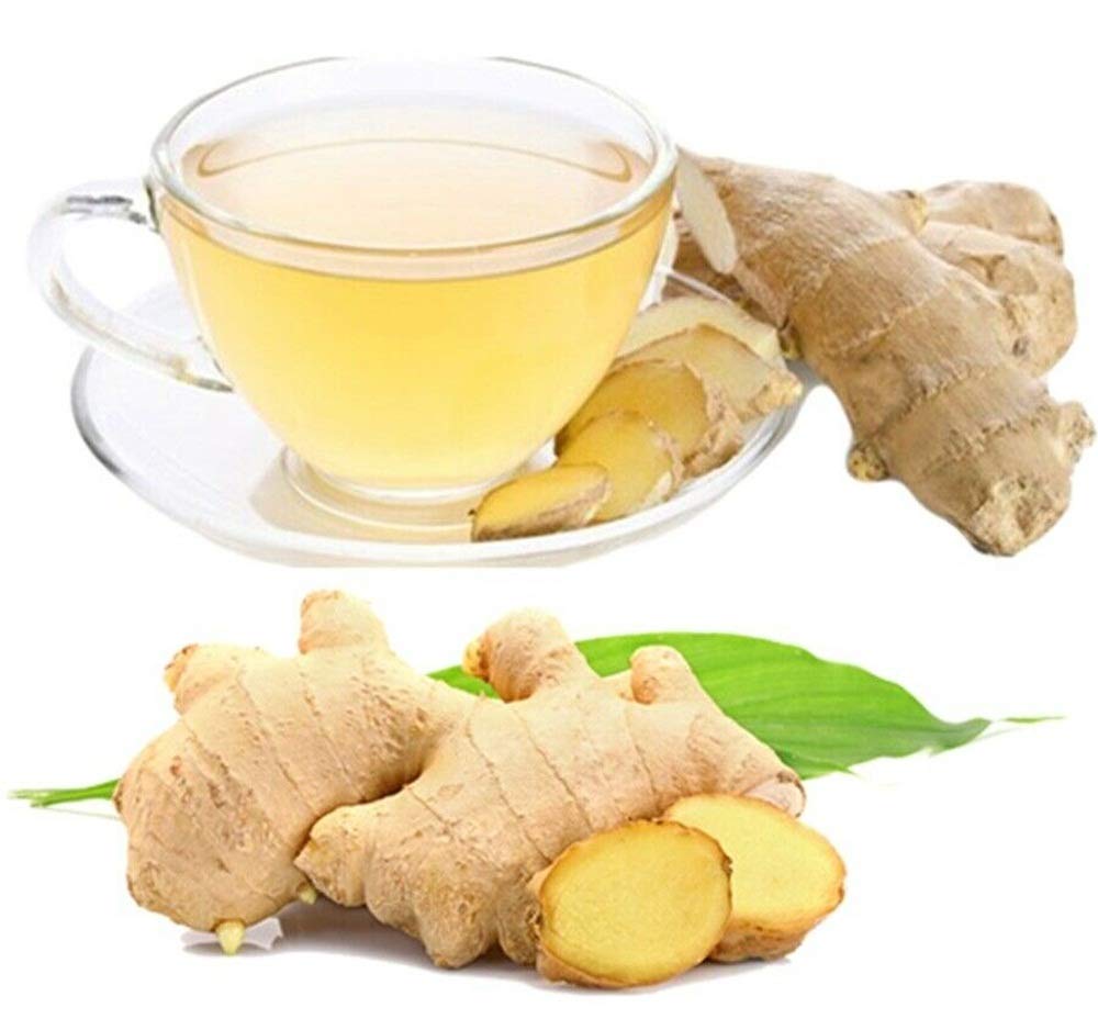 2 Boxes GINGEN Instant No Sugar Ginger Tea Thai Herbal Health Care Drink 5g x 14 sachets