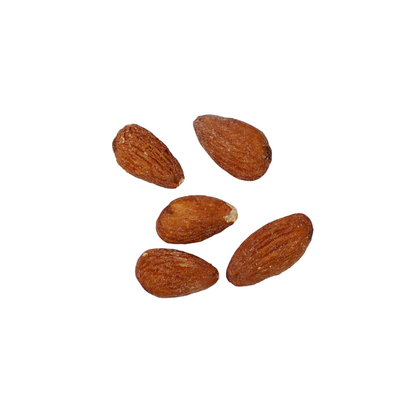 Roasted Unsalted Almonds, 1 Pound Bag, The Hampton Popcorn & Candy Company