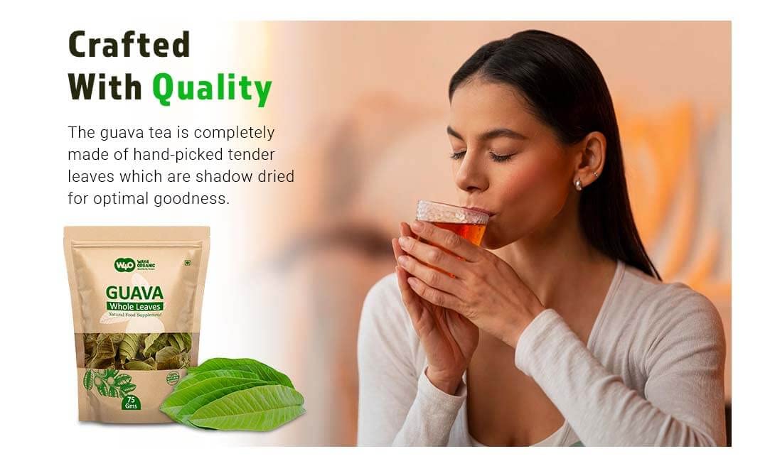 Guava Whole Dry Leaves 2.65 oz(75 grams), Loose Leaf Tea, 100% Pure Leaves
