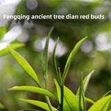 Yunnan Golden Special - Black Loose Leaf Tea - Best Chinese Black Tea - Organically Grown - Perfect Morning Tea - 150g (5.3-ounce)