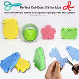 METUUTER 12-Count Kitchen Sponges- Compressed Cellulose Sponges Non-Scratch Natural Dish Sponge for Kitchen Bathroom Cars, Funny Cut-Outs DIY