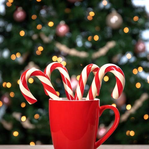 Hammond’s Candies - Hand Spun Peppermint Candy Canes - 6 Pack, Handcrafted by Artisan Confectioners- Classically Delicious, Proudly Made in Denver