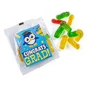 Fun Express Elementary Graduation Gummy Worm Handout - 18 Pc.