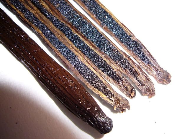 25 Vanilla Beans Whole Grade A Vanilla Pods for Homemade Vanilla Extract, Baking, Ice Cream, Flavoring, & Vanilla Powder - Democratic Republic