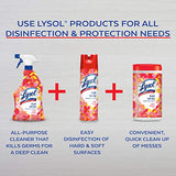 Lysol, All Purpose Cleaner Spray and Brand New Day, Mandarin & Ginger Lily, 32 Fl Oz