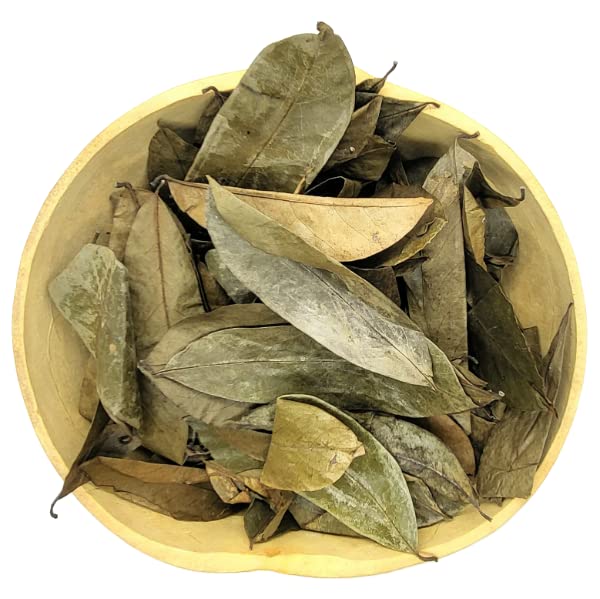 SOURSOP LOOSE DRIED LEAF TEA LEAVES PURE GRAVIOLA GUANABANA TEA 100% NATURAL ORGANIC 2 OUNCE