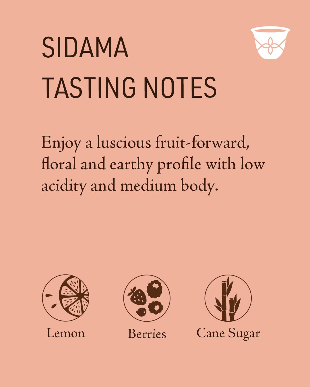 BUUNNI Coffee Sidama Medium Roast Ground