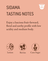 BUUNNI Coffee Sidama Medium Roast Ground