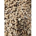 Sprouted Sourdough Corkscrew Pasta