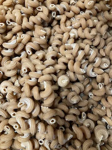 Sprouted Sourdough Corkscrew Pasta