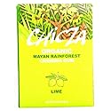 Natural Mayan Chewing Gum "Chicza" - Box Of 10 x 12 Lime Gums