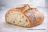 Wylde Mother Dehydrated Sourdough Starter - Dry, Shelf-Stable Culture for Bread Baking, Pizza Dough, Pancakes & Crackers (10g Pouch)