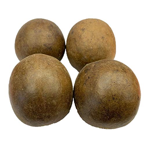 Dried Luo Han Guo/Monk Fruit, Special Big Sized, Natural Herb (12 Pieces)