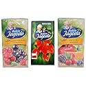 Babcia Jagoda Multi-Flavor Pack with Blackcurrant-Cranberry Tea (Herbatka Czarna Porzeczka-Zurawina), Multifruit Tea (Herbatka Wieloowocowa)