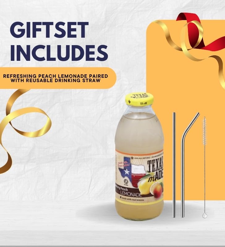 Lemonade 16oz Bundle with Reusable Straw - Refreshing Peach Lemon Beverage with Natural Flavors for Easy Serving - Gift Set (2 Items)