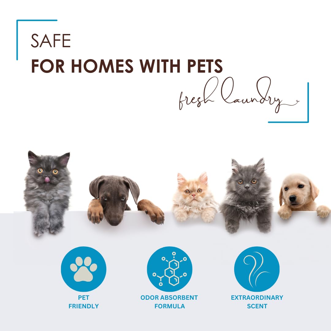 Saturday Morning Fresh | Carpet Odor Eliminator & Deodorizing Powder | Fresh Laundry | Safe & Gentle for Households with Pets & Children