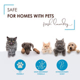 Saturday Morning Fresh | Carpet Odor Eliminator & Deodorizing Powder | Fresh Laundry | Safe & Gentle for Households with Pets & Children