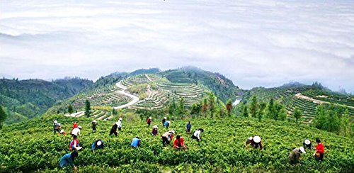 Enshi Rich in Se Tea 250g