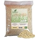 NatureJam RAW UnCooked Wheat Germ 2 Pounds Bulk Bag-32 OZ Heat Sealed for Freshness