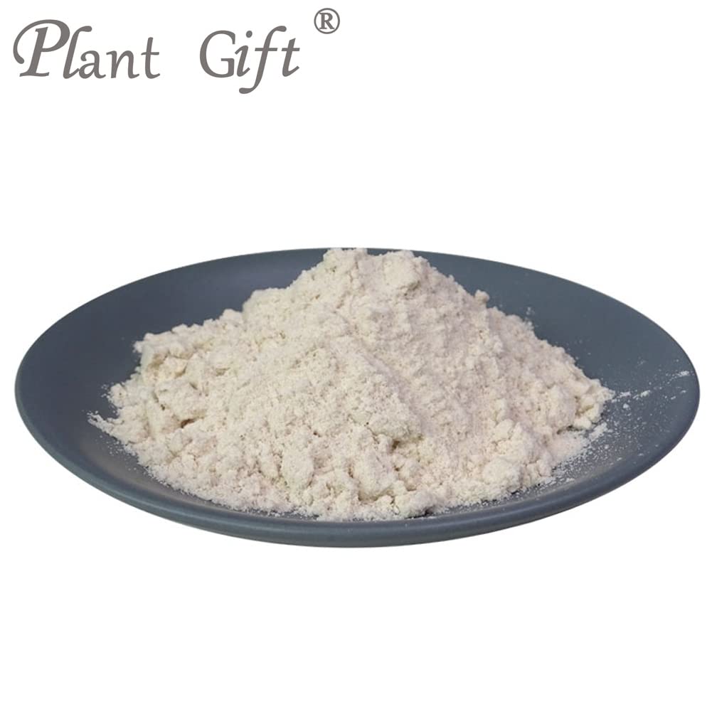 Plant Gift 100% Pure Brown Rice Powder ??? Natural Brown Rice Flour, Great Flavor for Drinks | Adds Flavor and Taste, Non-GMO Powder, No Filler, No
