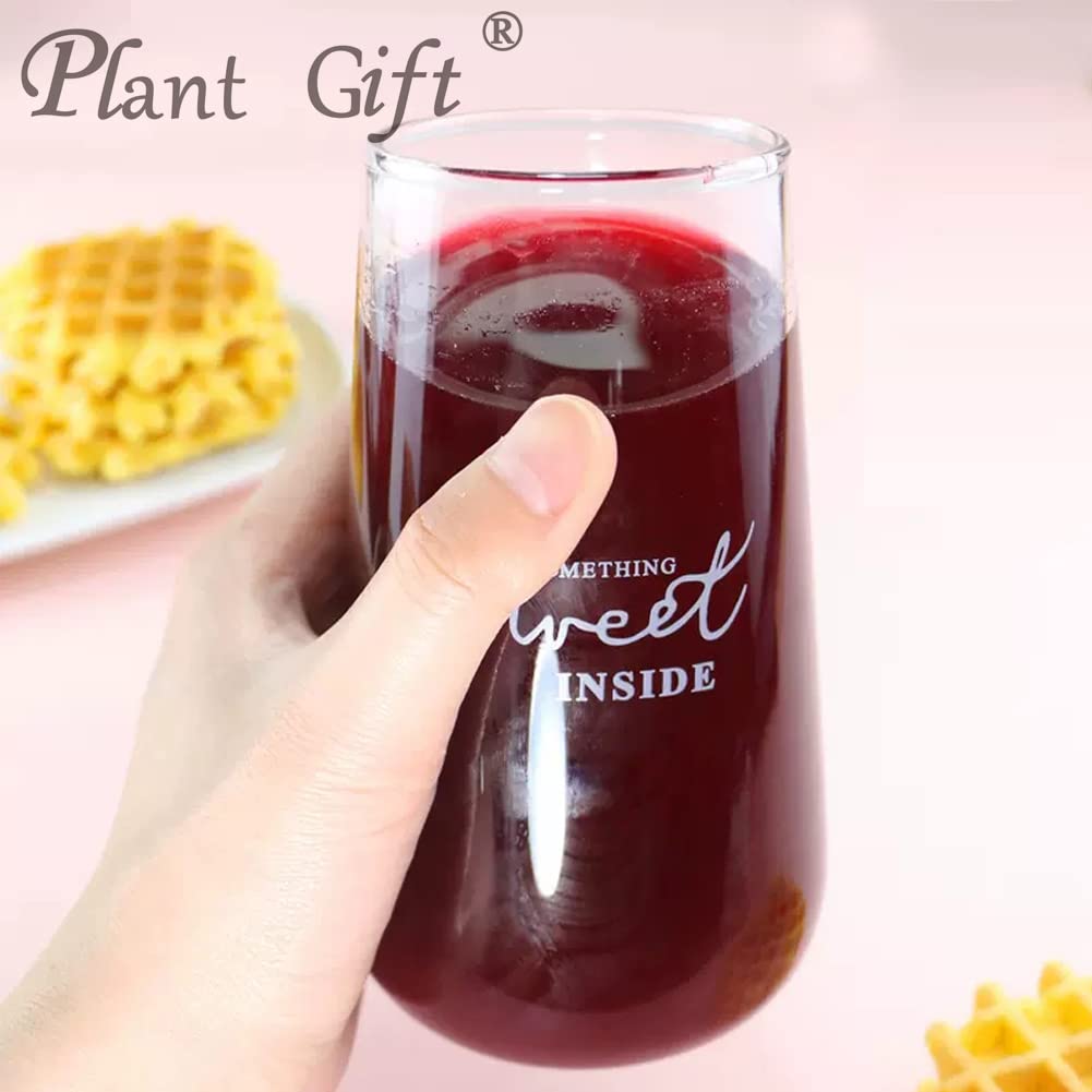 Plant Gift 100% Pure Beetroot Powder ???? Natural Beetroot Flour, Great Flavor for Drinks, Smoothie, Yogurt, Baking, Cookies, Cakes and Beverages