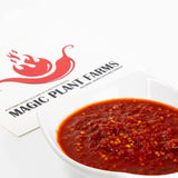 Wiri Wiri Chili Pepper Mash (Hot Cherry Bomb) by Magic Plant - Explore Exotic South American Flavors - Medium Heat Tasty Fruity Flavor - Make