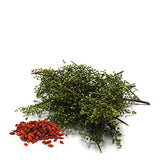 [Medicinal Korean Herb Tea] 100% Natural Oriental Wormwood Tea (Lycii Fructus & Oriental Wormwood) / ? ?? ? 40g (15 teabags)