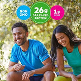 Orgain Organic Protein Shake, Grass Fed Dairy, Creamy Chocolate - 26g High Protein Whey Shake, Ready to Drink, Gluten Free, No Soy Ingredients, No