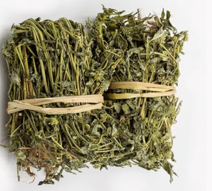 HERBS OF HEAVEN 100g Euphorbia Hirta Asthma Cut & Shifted - 100% Pure Natural Tea - Premium Quality for Brewing Herbal Tea