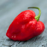Birch & Meadow Carolina Reaper Peppers, 3.2 oz, Whole & Dried, Extremely Hot, Over 1 Million SHU