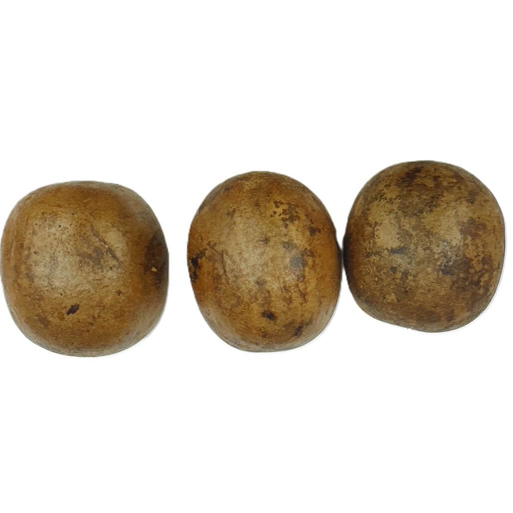 Premium Dried Luo Han Guo, Monk Fruit, Extra Large Size (6 Pieces)