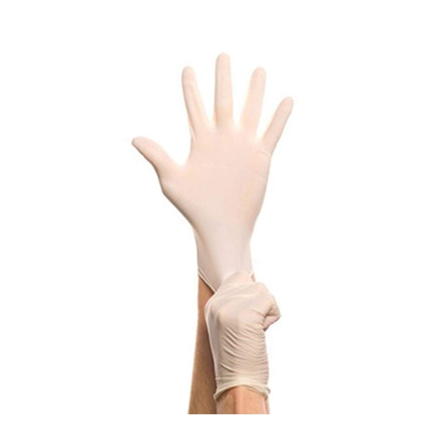 Chef's Star Vinyl Gloves (Medium)