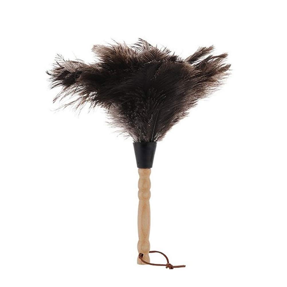 Roexboz Feather Duster Washable Soft Duster Antistatic Animal Feather Brush Natural Ostrich Feathers with Long Wooden Handle Feather Duster for House