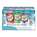 Evaxo Dry Ginger Ale Winter Variety Pack 36 x 12 fl oz .#B