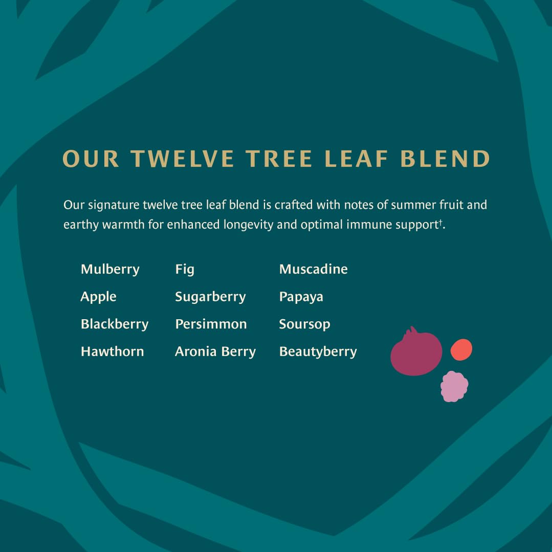 Healing Leaves Tea - 30 Servings - Biblically inspired tea to support digestion, immune system function, healthy inflammation response and boost