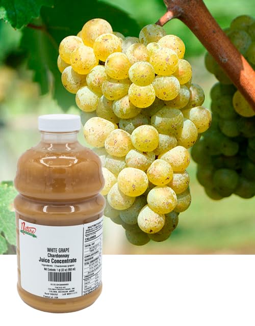 Nature Blessed 100% Pure Chardonnay White Grape Fruit Juice Concentrate - 4 Quarts (4/32 fl oz bottles), Great for Home Vintners, Home Brewers, Mead