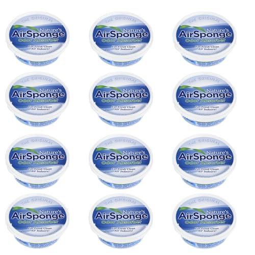 ODOR ABSORBER 0.5LB 1PK
