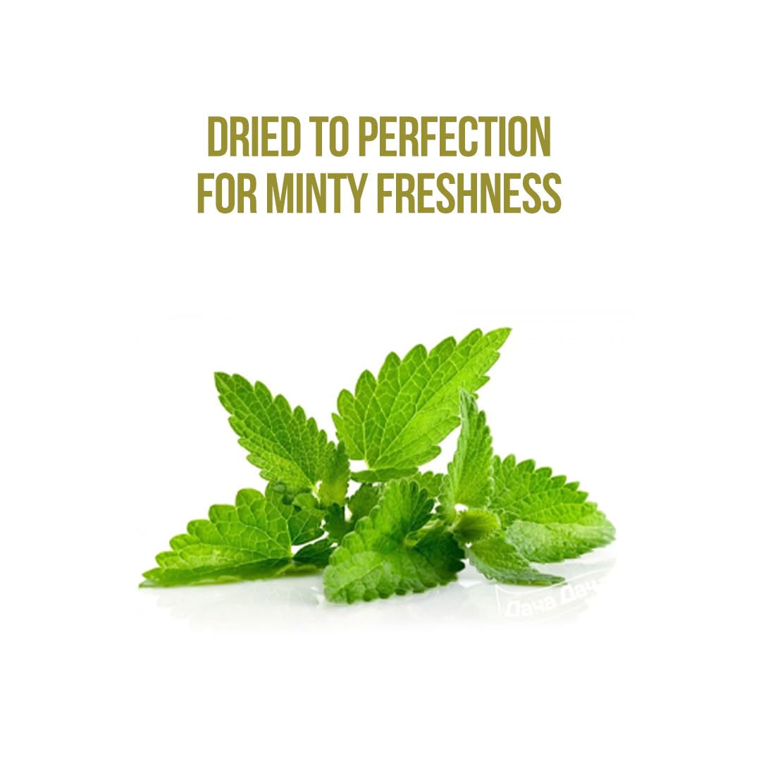 Pardesi Dried Mint Leaves (Pudina) 30g - Crushed Peppermint for Chutney, Raita, Tea & Seasoning | Halal, Non-GMO, Vegan | Dual-Cap Jar