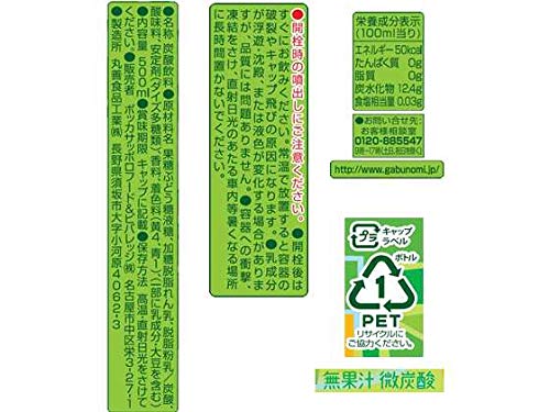 GABUNOMI Melon Cream Soda 500ml PET bottle (6)