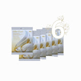Filter Fresh French Vanilla Whole Home Air Fresheners (6-Pack)