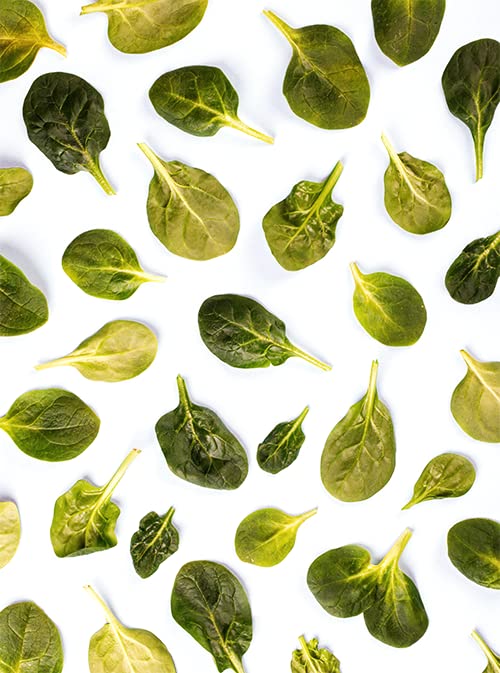 Unpretentious Spinach Flakes, 1 lb, Dried Spinach, Add to Breads, Seasoning & Soups