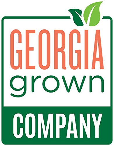 4 Pack of 18oz Georgia Fried Peanuts