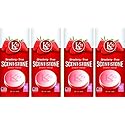 Sterling Teal (K16012-4) K29 'Strawberry' Stone Air Freshener, (Pack of 4)
