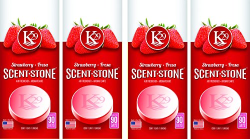 Sterling Teal (K16012-4) K29 'Strawberry' Stone Air Freshener, (Pack of 4)