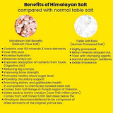 Ginger And Lemon Candy: Made from Himalaya Salt (15g x 12 packs) Halal Sports Candy